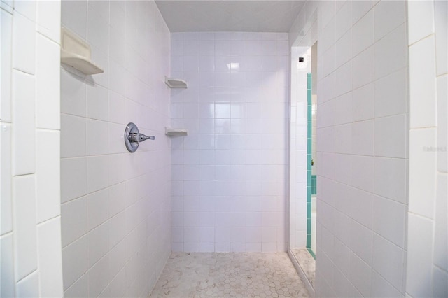 1328 Edgewater Beach Dr, Lakeland, FL 33805 - full bathroom with tiled shower
