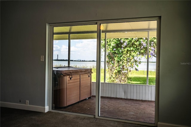 1328 Edgewater Beach Dr, Lakeland, FL 33805 - entryway with a water view, dark colored carpet, and plenty of natural light
