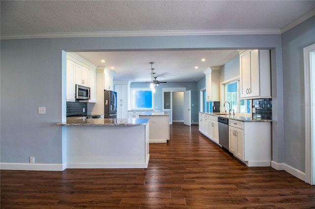 1328 Edgewater Beach Dr, Lakeland, FL 33805 - kitchen featuring appliances with stainless steel finishes, dark wood-type flooring, backsplash, plenty of natural light, and recessed lighting
