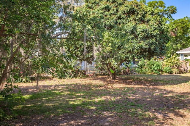 402 W Patterson St, Lakeland, FL 33803 - photo 24