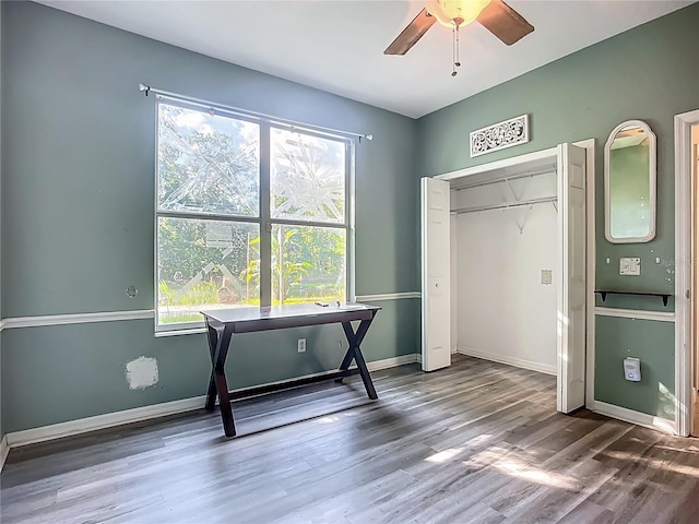 3620 Cordgrass Dr, Valrico, FL 33596 - bedroom with wood finished floors, baseboards, a closet, and a ceiling fan