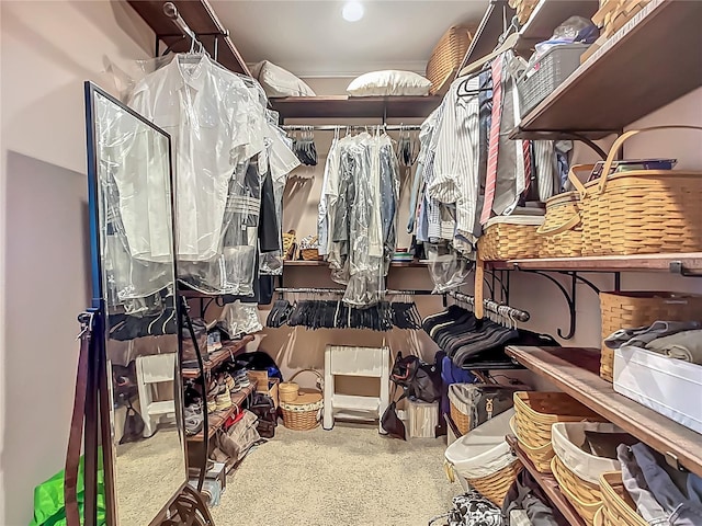 3620 Cordgrass Dr, Valrico, FL 33596 - view of walk in closet