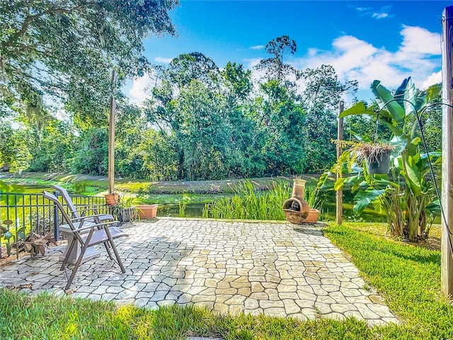 3620 Cordgrass Dr, Valrico, FL 33596 - view of patio / terrace