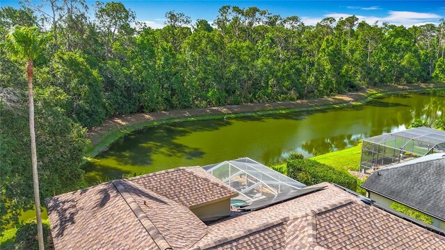 3620 Cordgrass Dr, Valrico, FL 33596 - drone / aerial view of a large body of water