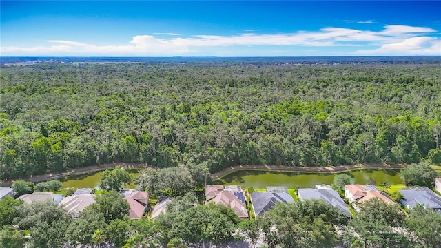 3620 Cordgrass Dr, Valrico, FL 33596 - aerial view of property and surrounding area featuring a forest and a large body of water