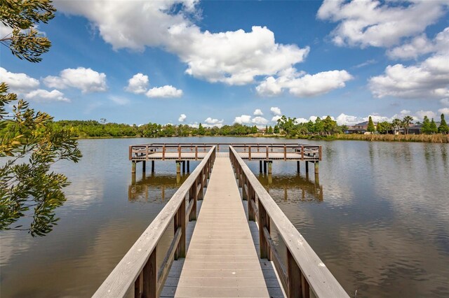 10642 Lake Montauk Dr, Riverview, FL 33578 - photo 24