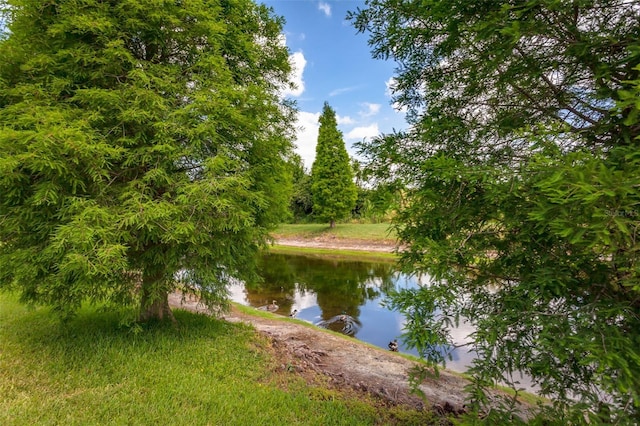 10642 Lake Montauk Dr, Riverview, FL 33578 - photo 26