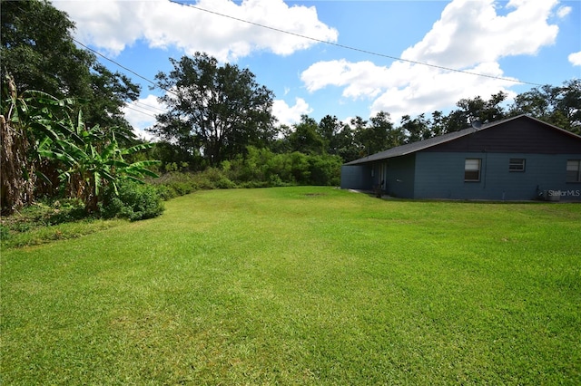 6054-6066 Hilltop Ln W, Lakeland, FL 33809 - view of green lawn