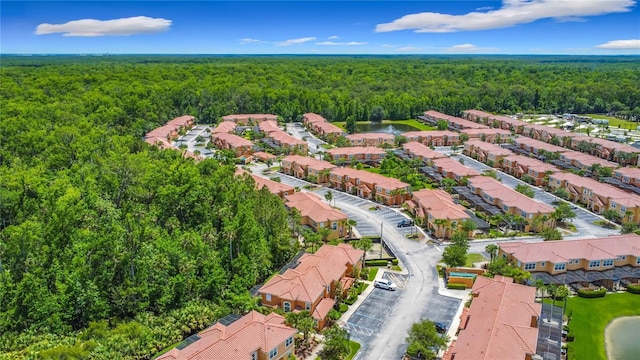 2683 Corvette Ln, Kissimmee, FL 34746 - photo 34