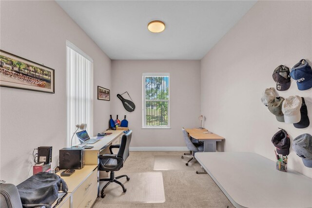 5033 Sugar Bay St, Sebring, FL 33872 - office space featuring carpet floors and baseboards