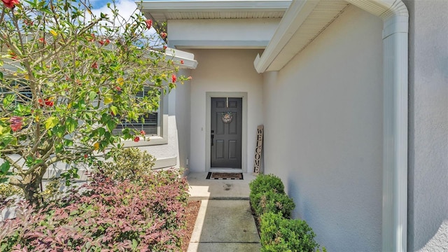 entrance to property featuring stucco siding