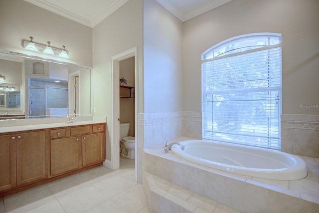 2032 Indian Sky Cir, Lakeland, FL 33813 - bathroom featuring toilet, a bath, vanity, a shower stall, and tile patterned flooring