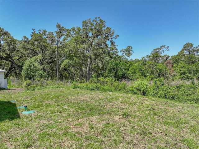1415 Southern Ave, Lakeland, FL 33803 - view of yard