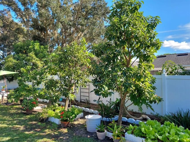 455 Eagle Dr, Kissimmee, FL 34759 - fenced backyard with a vegetable garden