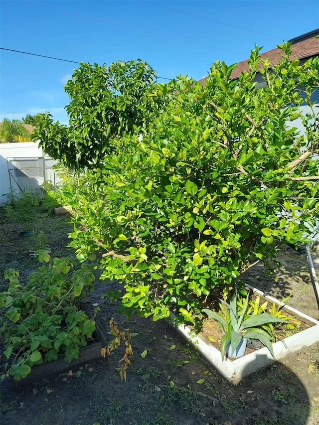455 Eagle Dr, Kissimmee, FL 34759 - view of yard