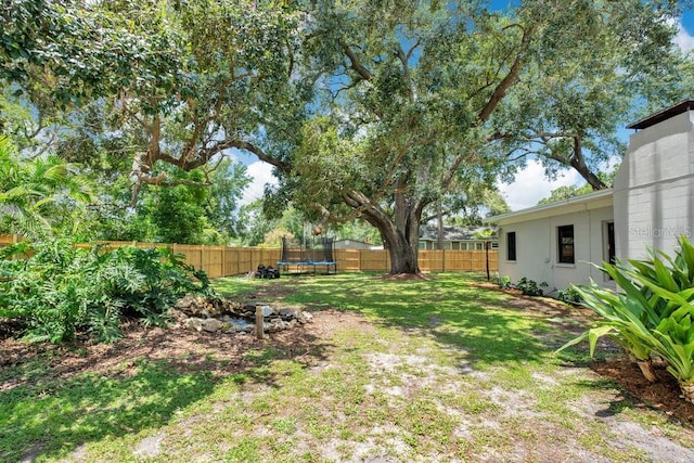 312 Palencia Pl, Lakeland, FL 33803 - fenced backyard featuring a trampoline