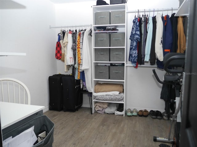 355 E Columbia St, Lake Alfred, FL 33850 - walk in closet with wood finished floors