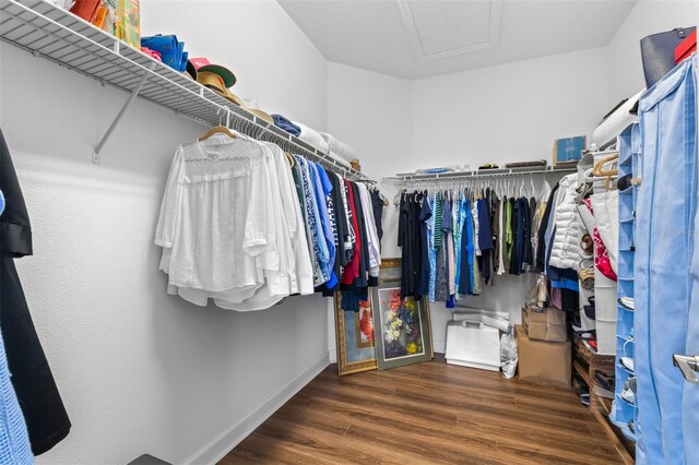 3136 Langdon Ln, Winter Haven, FL 33884 - walk in closet with wood finished floors and attic access