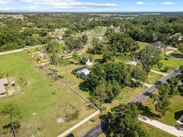 9912 Pine Leaf Ln, Dade City, FL 33525 - drone / aerial view