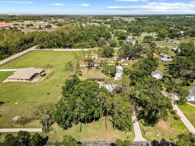 9912 Pine Leaf Ln, Dade City, FL 33525 - aerial view