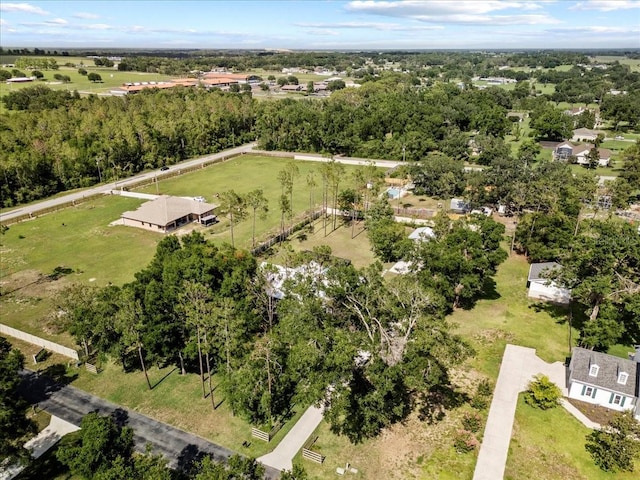 9912 Pine Leaf Ln, Dade City, FL 33525 - aerial view