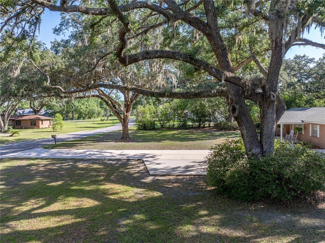 view of green lawn