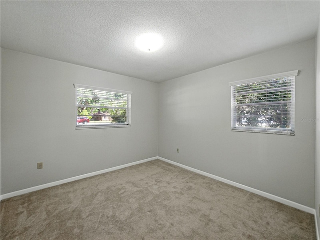 empty room featuring plenty of natural light, carpet, baseboards, and a textured ceiling