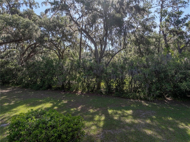 view of grassy yard with a view of trees