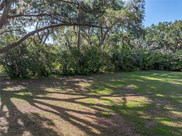 view of green lawn