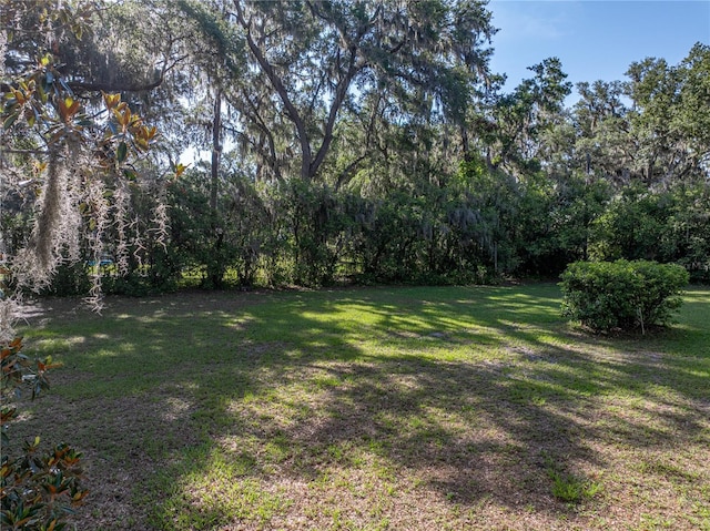 view of grassy yard