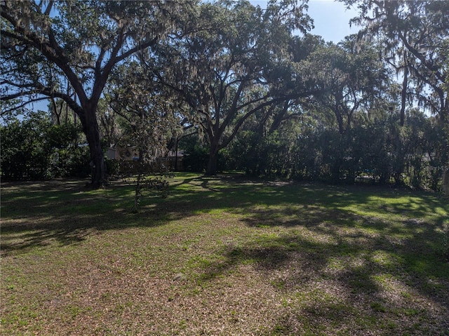view of green lawn