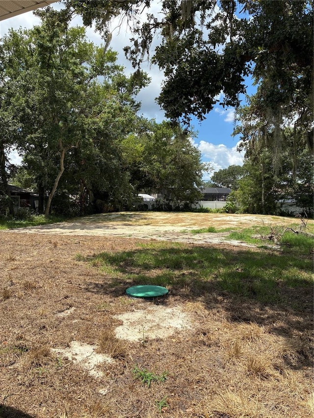 1329 Tom Watson Rd, Lakeland, FL 33801 - view of yard