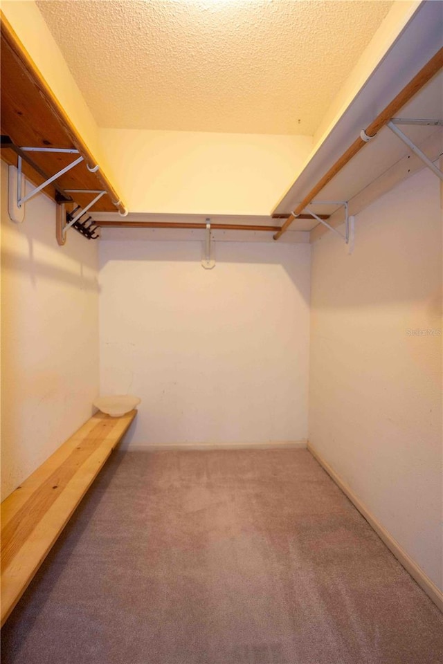 1920 Indian Trails Ct, Lakeland, FL 33813 - walk in closet featuring carpet floors