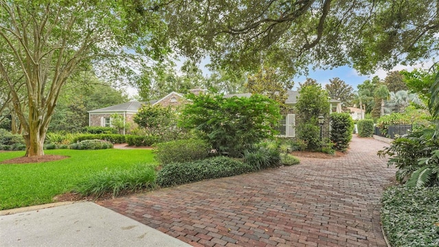 323 E Belvedere St, Lakeland, FL 33803 - view of community featuring a yard