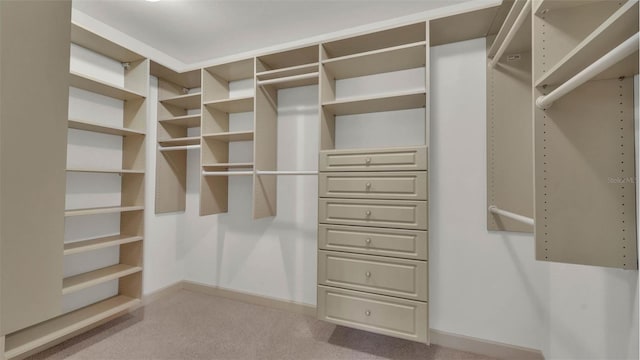 323 E Belvedere St, Lakeland, FL 33803 - spacious closet featuring carpet
