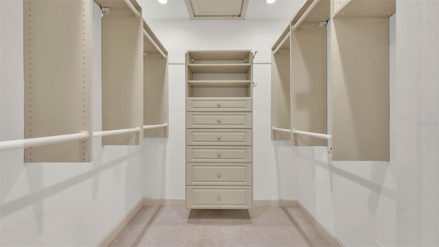 323 E Belvedere St, Lakeland, FL 33803 - spacious closet with light carpet
