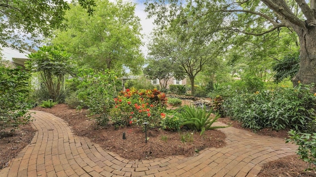 323 E Belvedere St, Lakeland, FL 33803 - view of yard