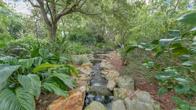 323 E Belvedere St, Lakeland, FL 33803 - view of local wilderness