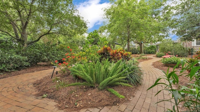 323 E Belvedere St, Lakeland, FL 33803 - view of yard