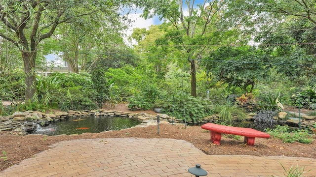 323 E Belvedere St, Lakeland, FL 33803 - view of patio with a small pond
