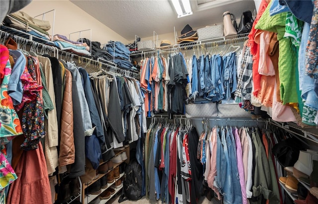 5425 Charlin Ave, Lakeland, FL 33810 - view of walk in closet