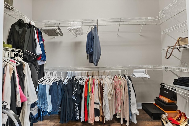 6542 Eagle Ridge Way, Lakeland, FL 33813 - walk in closet featuring wood finished floors