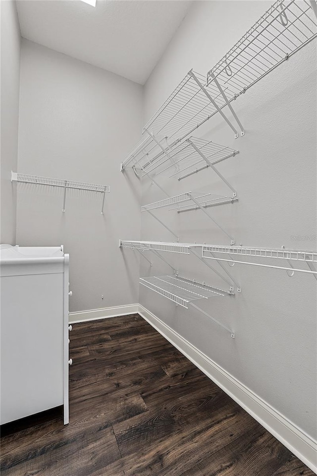 6542 Eagle Ridge Way, Lakeland, FL 33813 - spacious closet featuring wood finished floors