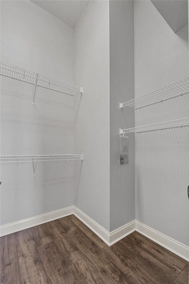 6542 Eagle Ridge Way, Lakeland, FL 33813 - spacious closet with dark wood-style flooring