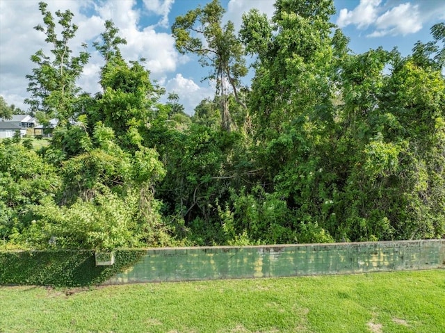 6357 Ashley Dr, Lakeland, FL 33813 - view of green lawn