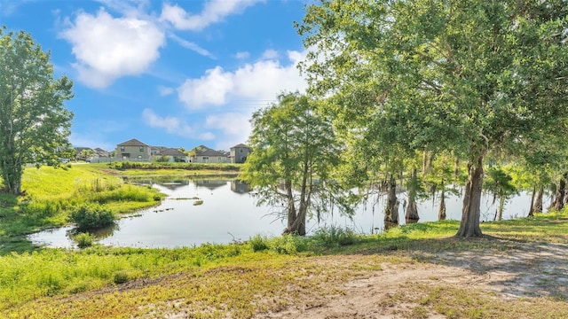 2293 Caspian Dr, Lakeland, FL 33805 - water view