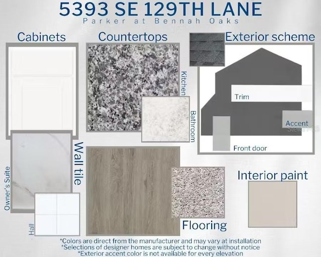 5393 SE 129th Ln, Belleview, FL 34420 - view of miscellaneous property collateral