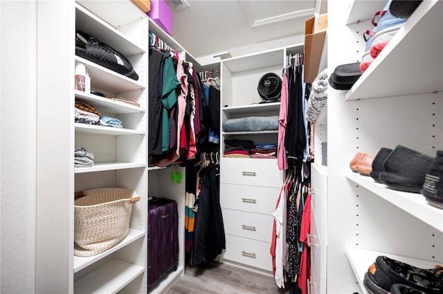 3883 Sandhill Crane Dr, Lakeland, FL 33811 - walk in closet featuring wood finished floors