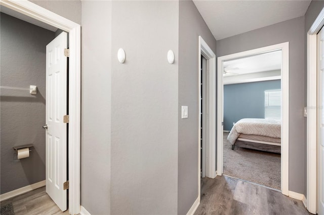3883 Sandhill Crane Dr, Lakeland, FL 33811 - hallway with wood finished floors and baseboards