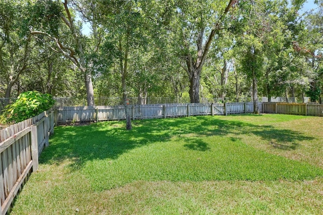 1233 Emerald Hill Way, Valrico, FL 33594 - view of yard